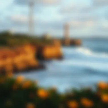 Magnificent Comprehensive Overview of Pleasure Point Surf Report Magnificent Comprehensive Overview of Pleasure Point Surf Report