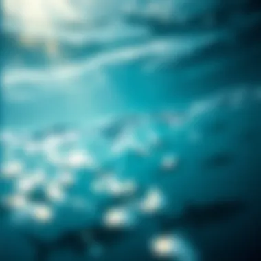 Magnificent Exploration of the Pacific Ocean: An In-Depth Study
