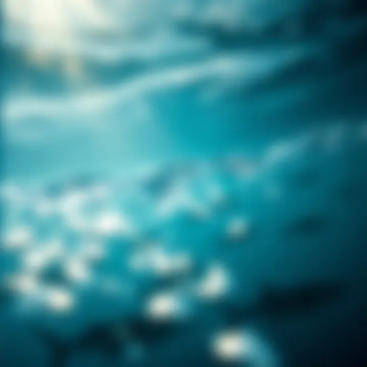 Magnificent Exploration of the Pacific Ocean: An In-Depth Study