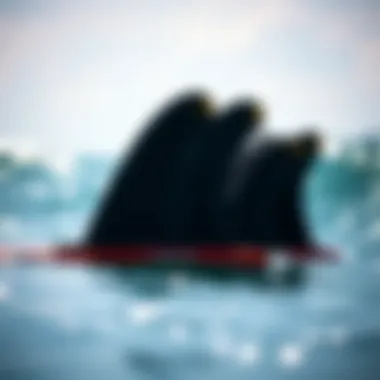 Magnificent Exploring Future Fins: A Comprehensive Guide to the Five Fin Set Magnificent Exploring Future Fins: A Comprehensive Guide to the Five Fin Set