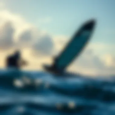 Magnificent Exploring the Ocean Rodeo Wing: A Comprehensive Guide