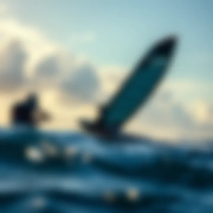 Magnificent Exploring the Ocean Rodeo Wing: A Comprehensive Guide