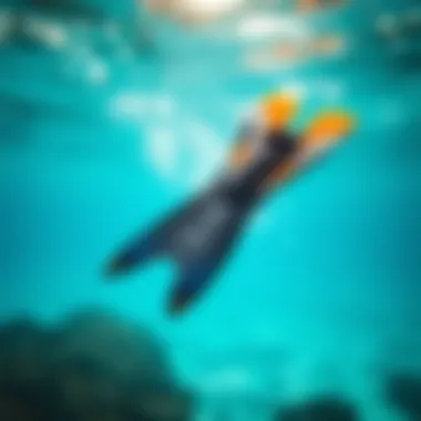 Magnificent The Best Swim Fins: A Comprehensive Guide