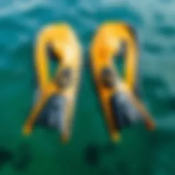Illustration of UDT Duck Feet fins showcasing their unique design.