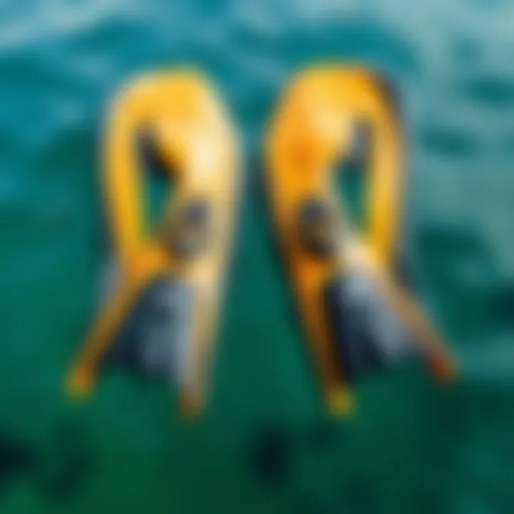 Illustration of UDT Duck Feet fins showcasing their unique design.
