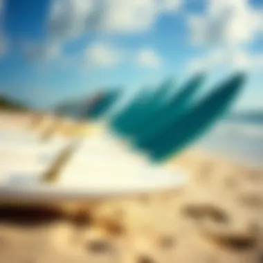 Close-up of surfboards lined up on the sandy beach
