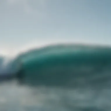 Larger individuals enjoying surfing waves