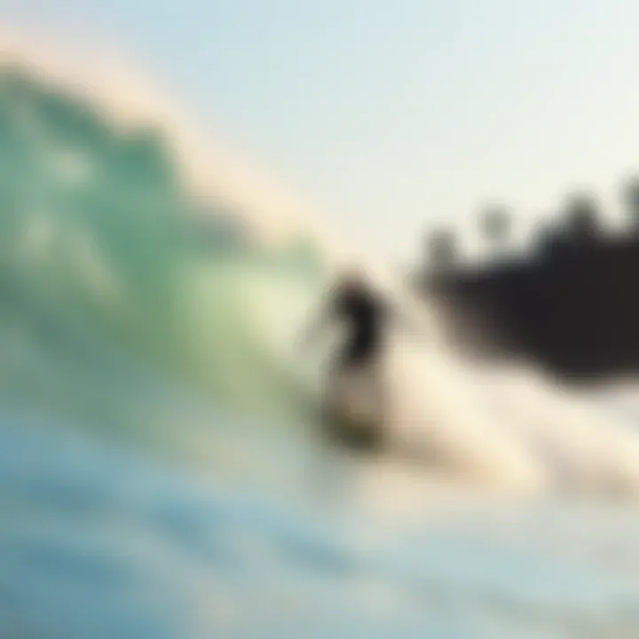 Notable C Street Surf Report: An In-Depth Guide