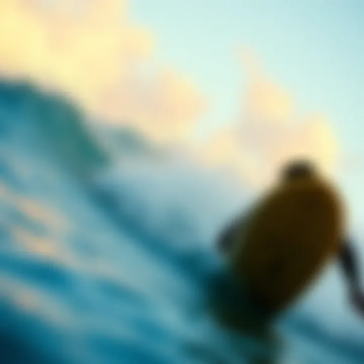 C Street Surf Report: An In-Depth Guide Summary