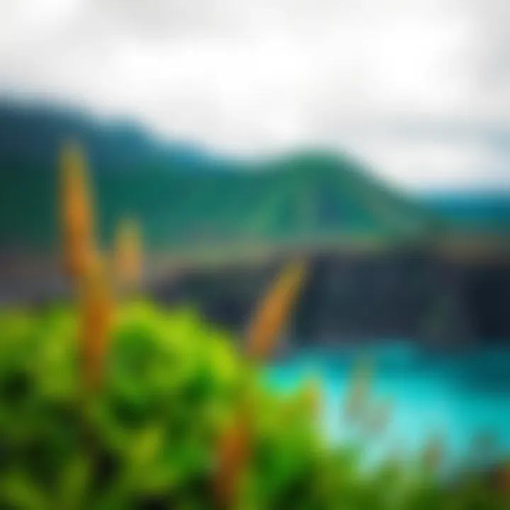 Scenic landscape showcasing the lush surroundings of Cerro Negro
