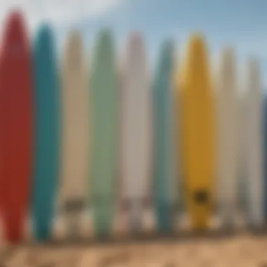 A range of surfboards showcasing different sizes and shapes