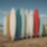 Various surfboard types lined up on a beach