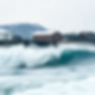 Cold Hawaii: A Unique Watersports Destination in Denmark Summary Cold Hawaii: A Unique Watersports Destination in Denmark Summary