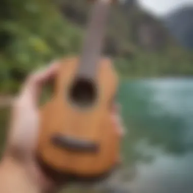 Differences Between Baritone and Other Ukulele Types Comparison of ukulele types