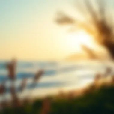 A serene beach landscape that embodies the culture of surfing.