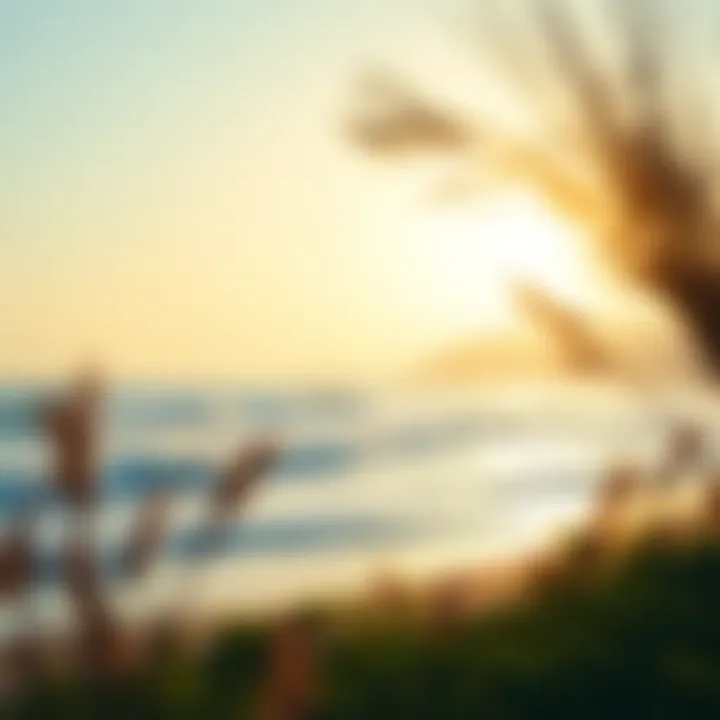 A serene beach landscape that embodies the culture of surfing.