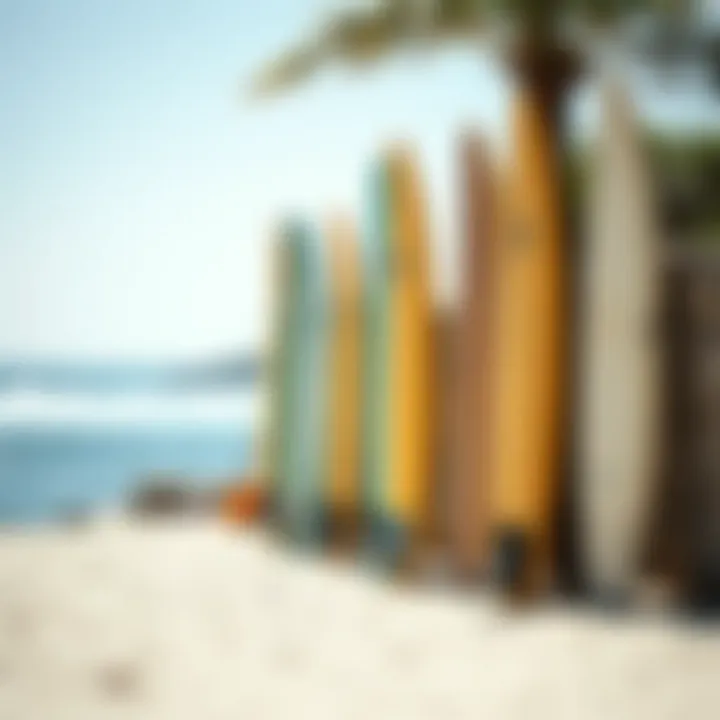 A serene beach scene featuring surfboards lined up against the backdrop of the ocean