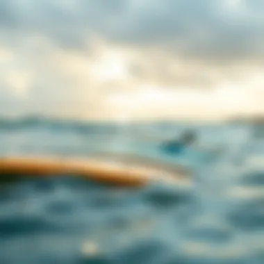 Comparison of various bodyboard designs.