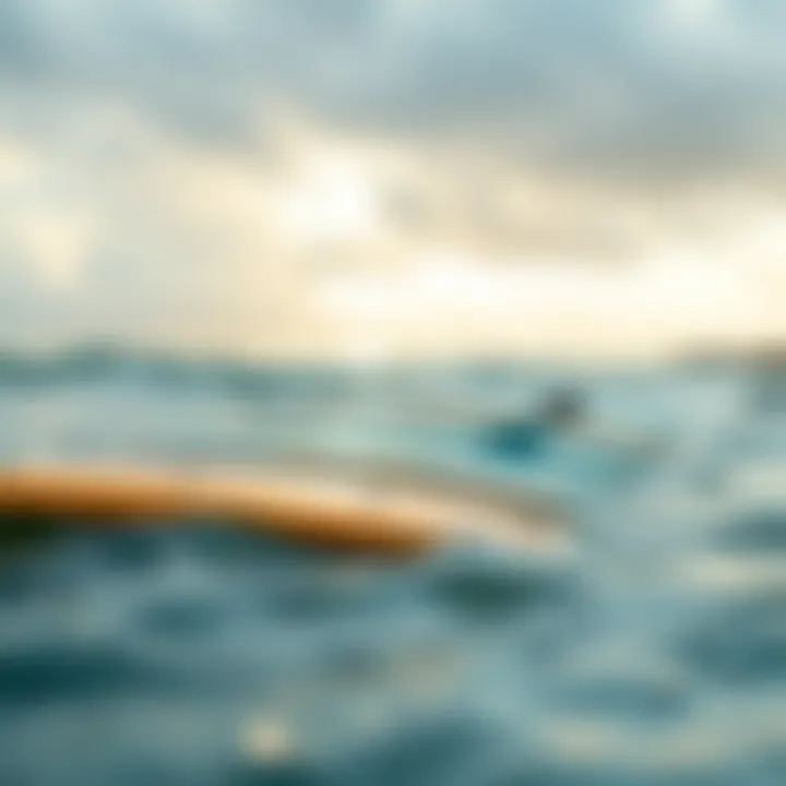 Comparison of various bodyboard designs.