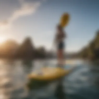 Diverse Paddle Styles for Different Paddling Experiences Paddles arranged by style and intended use