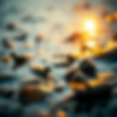 Comprehensive Insights on Water Pollution Summary Comprehensive Insights on Water Pollution Summary