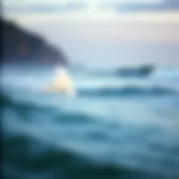 Comprehensive Overview of Pleasure Point Surf Report Introduction