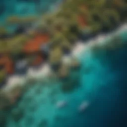 Aerial view of a pristine coral reef