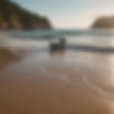 A Serene Escape by the Shore Tranquil beach scene with gentle waves