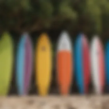 Colorful surfboards lined up on the beach