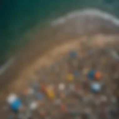 The Impact of Coastal Pollution on Marine Ecosystems Aerial view of coastal pollution impacting marine life