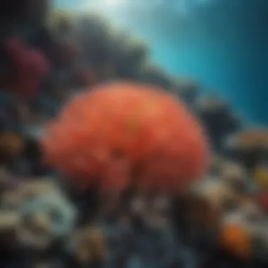 Coral Reefs: The Heart of Marine Diversity Vibrant coral reef showcasing marine biodiversity