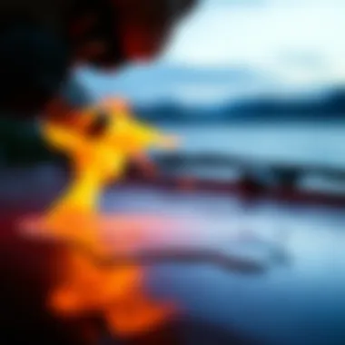 Heat Application for Wax Removal Utilizing heat to remove wax from a surface