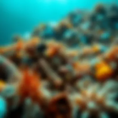 Impact of Plastic on Marine Life A vibrant marine ecosystem highlighting the effects of plastic pollution