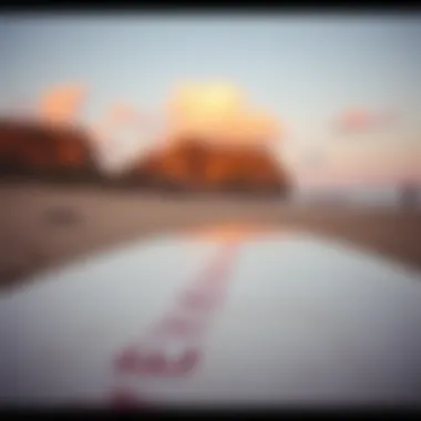 Environmental Impact of Surfboard Canvas Choices Environmental impact of various surfboard canvas choices