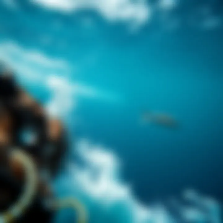 Activism for ocean conservation