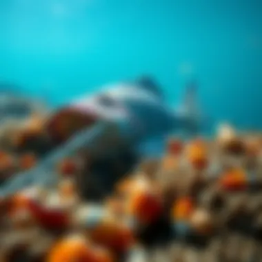 Marine life affected by pollution