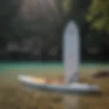 Diverse types of stand-up paddle boards displayed