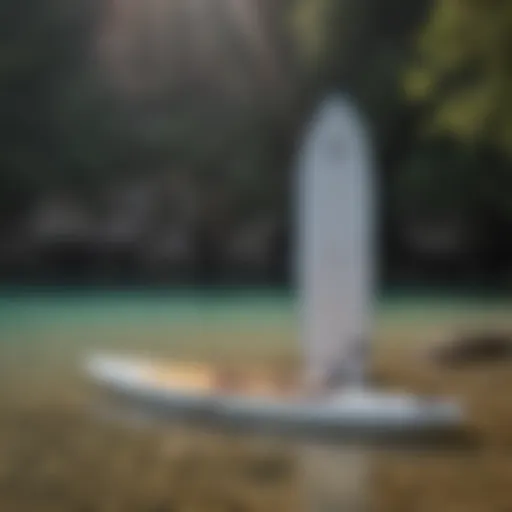 Diverse types of stand-up paddle boards displayed