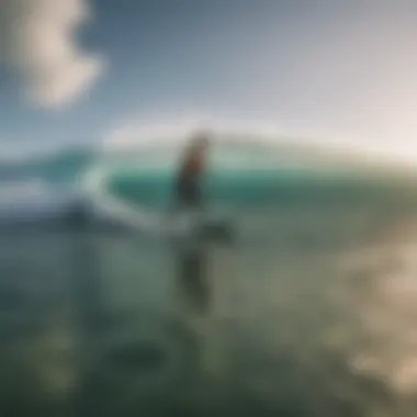 Conquering Fears in Surfing A serene beach setting for overcoming fears