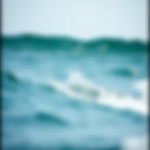 Evaluating Skimboard Costs: A Comprehensive Analysis Introduction