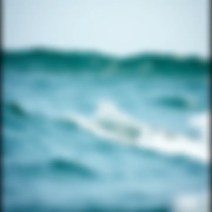 Evaluating Skimboard Costs: A Comprehensive Analysis Introduction