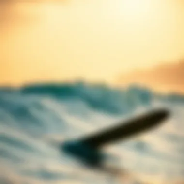 Evaluating Skimboard Costs: A Comprehensive Analysis Summary