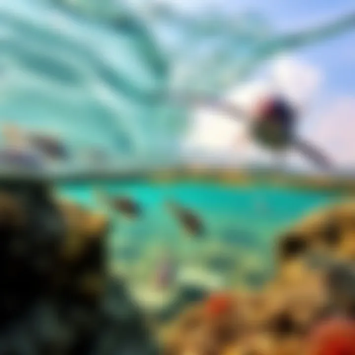 Biodiversity Beneath the Waves Lush coastal ecosystem with diverse marine life