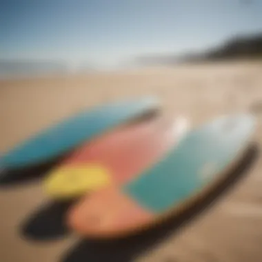 A variety of budget-friendly skimboards lined up on the sand