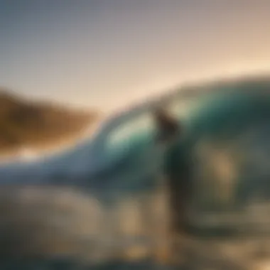 A surfer riding a wave at sunset, showcasing the thrill of watersports.