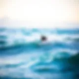 Overview of a foil surfboard on the water
