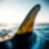 Exploring Future Fins: A Comprehensive Guide to the Five Fin Set Introduction