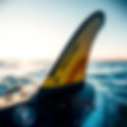 Exploring Future Fins: A Comprehensive Guide to the Five Fin Set Introduction