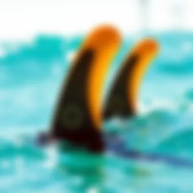 Exploring Future Fins: A Comprehensive Guide to the Five Fin Set Summary Exploring Future Fins: A Comprehensive Guide to the Five Fin Set Summary