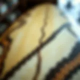 Detailed view of surfboard canvas showcasing intricate patterns